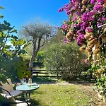D1mora Castello-a Corner Of Peace Pet Friendly With Share Pool
