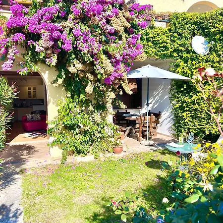D1mora Castello-a Corner Of Peace Pet Friendly With Share Pool 아파트