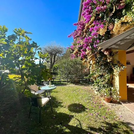 D1mora Castello-a Corner Of Peace Pet Friendly With Share Pool Apartmán